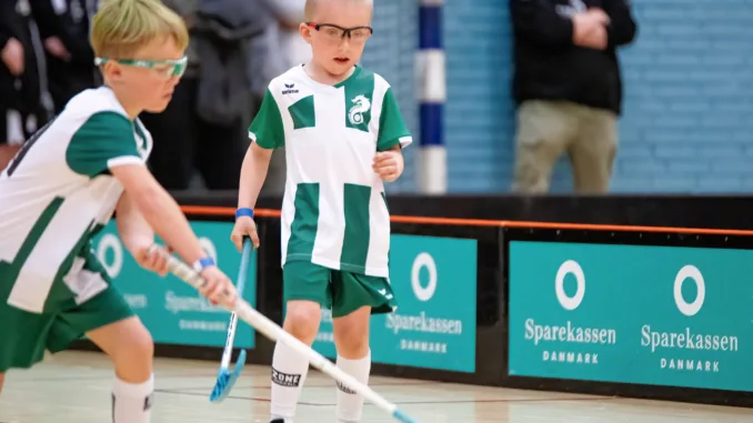 Landsstævnet 2025
